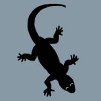 まゆとかげ (@mayu_tokage) 's Twitter Profile Photo