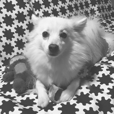 LilyV0306's profile picture. 