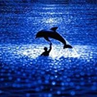 ブルーG (@snowlatte2) 's Twitter Profile