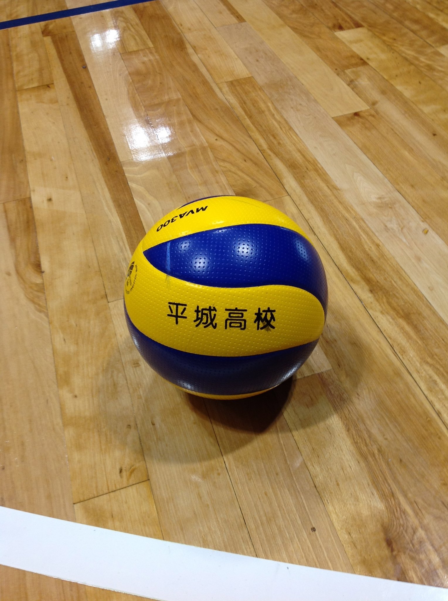 奈良県立平城高等学校女子バレーボール部OG会