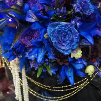 maria_cecilia96's profile picture. 永遠の憧れなつめさん(大浦みずき）東山義久さん藤岡正明さん廣野凌大（Bimi）さん翼和希さん牧島輝さん😍😍皆さんに客席から愛をこめて！