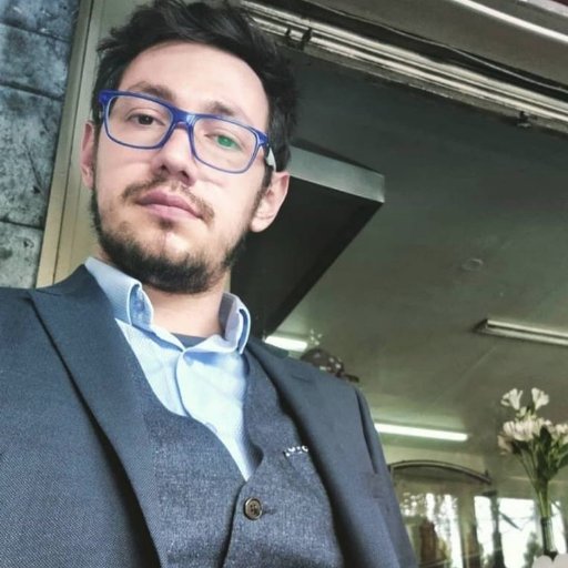 Técnico comercial bilingüe computarizado en Estadística. Animador de eventos.