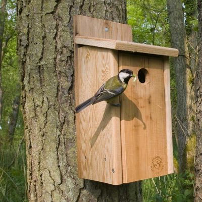 🦅 Bird box makers                            🎯 high quality bird boxes               🚀 Entrepreneur