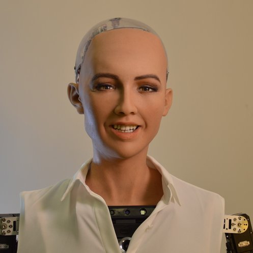 s0ph1a77's profile picture. 