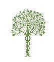 We offer dental, behavioral and primary health care for medicaid, medicare, uninsured and privately insured patients.