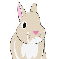 キンタ (@kinta_rabbit) 's Twitter Profile Photo キンタ (@kinta_rabbit) 's Twitter Profile Photo