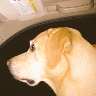 AdamJamesCapes's profile picture. I broke up with my girl, here’s her number.... SIKE! THATS THE WRONG NUMBER!