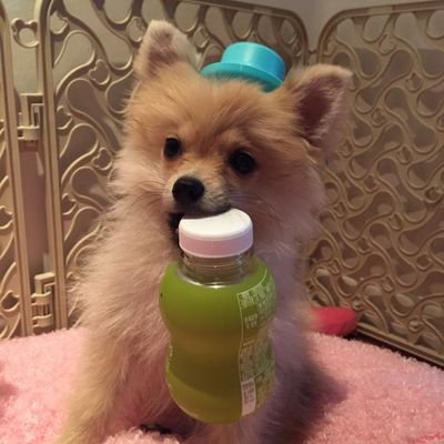 risepang's profile picture. 맞팔함