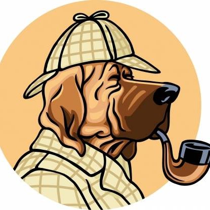 preventfraudnl's profile picture. Go Sharks Go