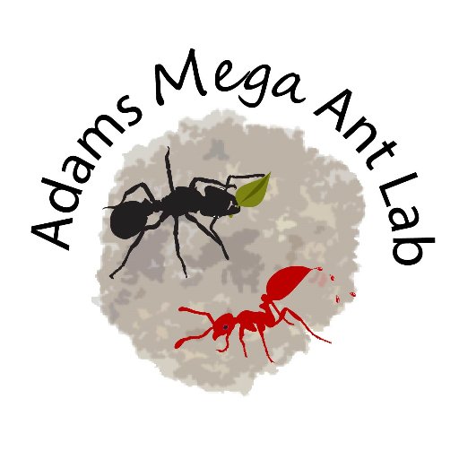 The Adams lab group is studying the symbiotic relationships within the fungus-growing ant species network.