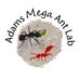 Adams Mega Ant Lab (@megalomyrmex) Twitter profile photo Adams Mega Ant Lab (@megalomyrmex) Twitter profile photo