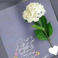soha aljohani (@joonh56) 's Twitter Profile