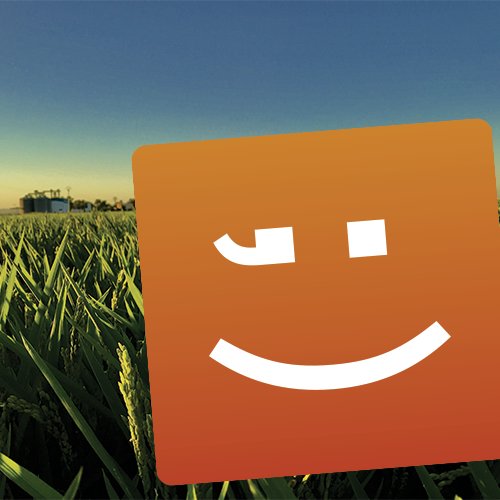 C_RiberaBaixa's profile picture. Compte oficial de Compromís per la Ribera Baixa