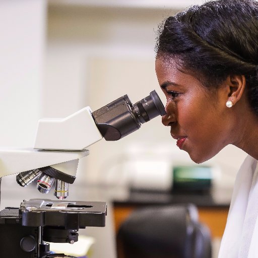 MSMEDUresearch's profile picture. Stay up-to-date w/ new findings from basic science, clinical, community health and policy research from investigators at Morehouse School of Medicine (@MSMEDU).