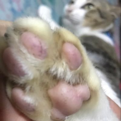 KritsnakornLiew's profile picture. 