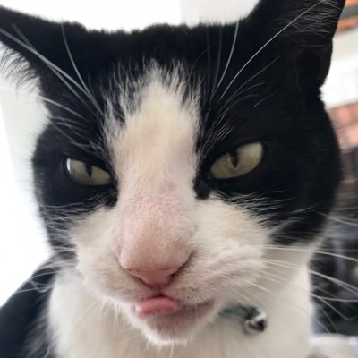 Lucy_Emmett's profile picture. 