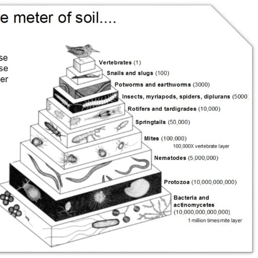Soil Ecology and Biological Indicators Lab