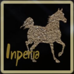 Inperia3's profile picture. Blockchain for online horse betting | #smartsoftware #horsebetting #blockchain - We will build a state of the art online horse sportbetting system.