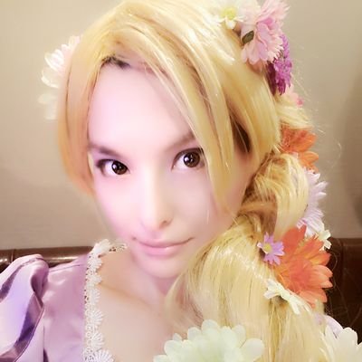いとさん Catlover12 Twitter