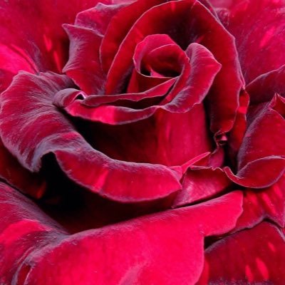 coincidetheory's profile picture. #WethePeople#DeepSpace#Sub#Mars#Is#No#Day32#ChinaNeedsFilters#PrisonsHurt#Blockchain#EnergyIntel#DarkMatter#TruNorte#QuantumStudies#INTP#Stem#Cell#Direc1984#No