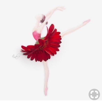 pinkreema's profile picture. ” نُحب الهدوء ، و الرفقة الطيبة ، والتفاصيل الجميلة اللي تصنع مزاجنا “📻🍃