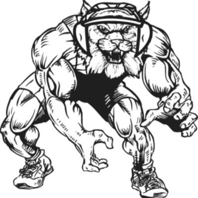 Official Twitter page of your West Chicago Wildcat Wrestling Team 🤼♂️