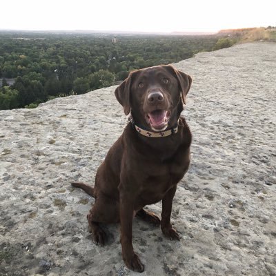 David_Brunz's profile picture. 