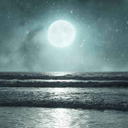 satcharena_lisa's profile picture. 