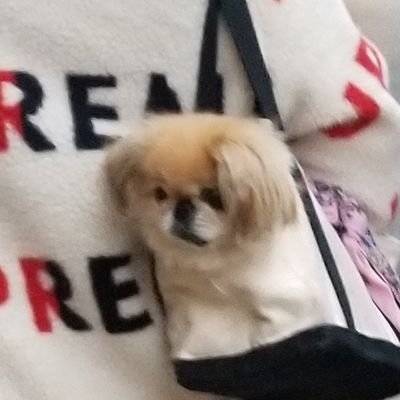 juuciefruit's profile picture. just regular guy