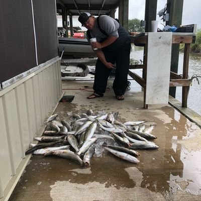 FatCrawfish's profile picture. Hunt, Fish, Cook, Home Team, Viva