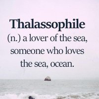 Fit4lifer, NCSF & AFAA (@fit4lifer) 's Twitter Profile