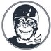 Gypsy Chimp (@chimpgypsy) Twitter profile photo Gypsy Chimp (@chimpgypsy) Twitter profile photo