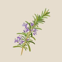 Rosemary Branch (@rosemarybranch) 's Twitter Profile