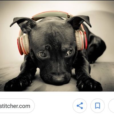 pagodefrases11's profile picture. Bem vindos!🎵❤️