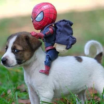 chiquiART's profile picture. 