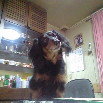 digression__'s profile picture. 