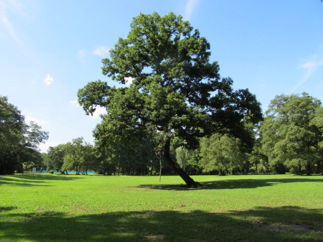 秋ヶ瀬公園【公式】