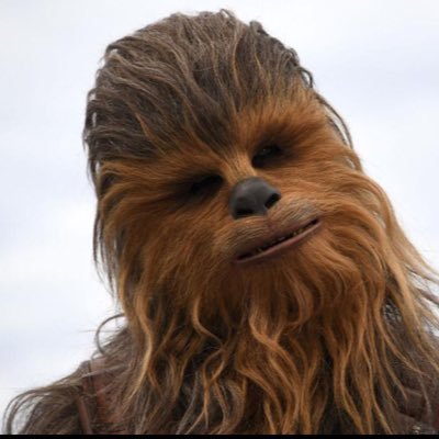 iris_wanderer's profile picture. proud member of team 🏹