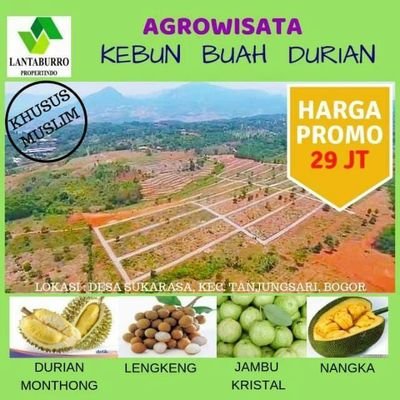 naiprosyari's profile picture. #marketingpropertysyariah