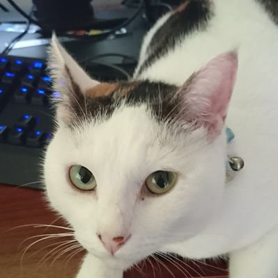 勝手にフォローしますー
