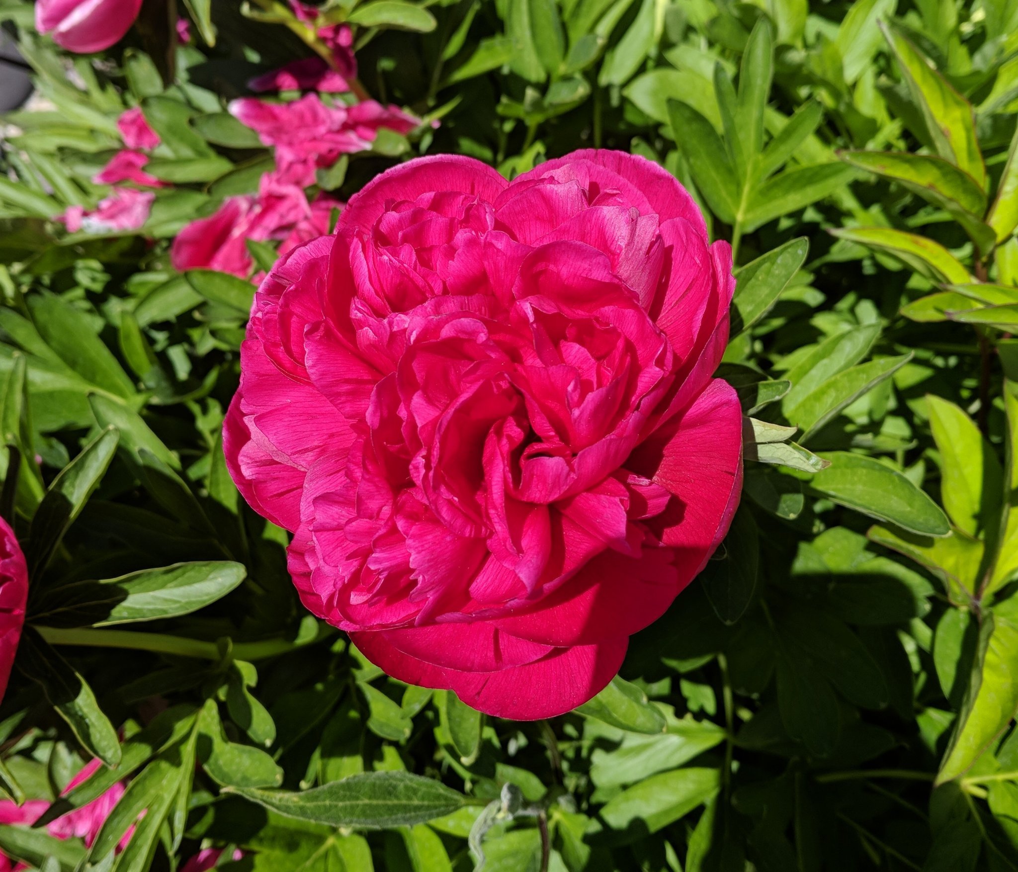 idahome52's profile picture. No one has ever regretted being too kind