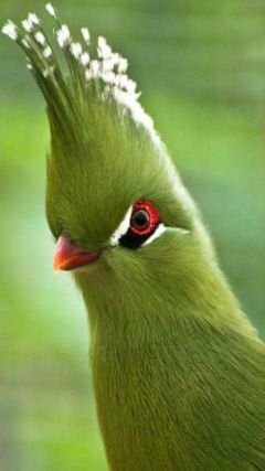 MdFiruj2's profile picture. Bangladesh