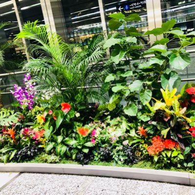 9mz5nJffwLVDM2J's profile picture. ポイントなど、お得な物を追求しながら、楽しみながら生きてます。お得な事を皆さんと共有できたら良いです。 #お得 #ポイント #通信 #wifi