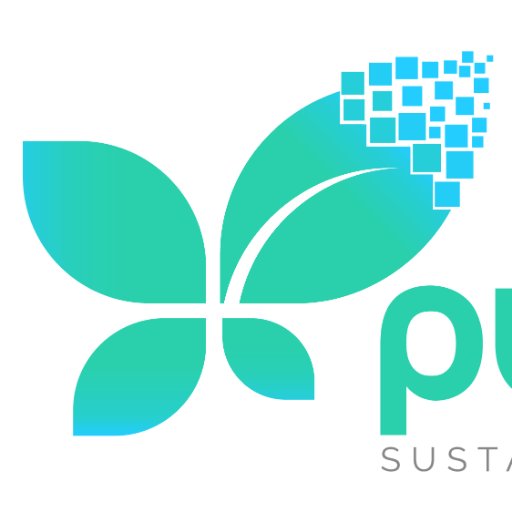 Purean is a business solutions company offering many services in addition to bespoke software for your success.