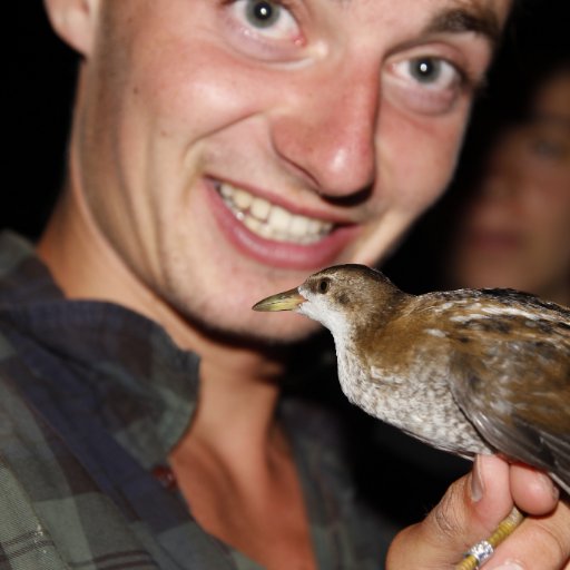 postdoc | Ecology of Seasonal Bird Migration | #birdmigration | @AviEcoMig @ivb_cas & @DepEcoCU @science_charles