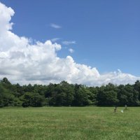 宮台 由美子 (@yumikomiyadai) Twitter profile photo