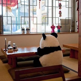 いじけるパンダくん Ijikerupanda Twitter いじけるパンダくん Ijikerupanda Twitter