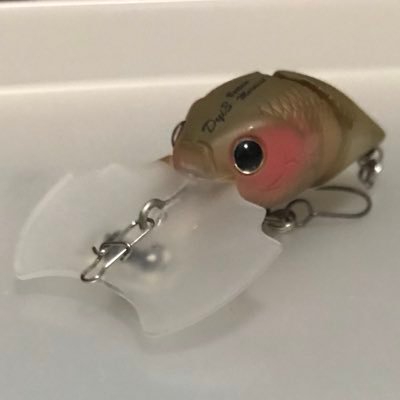 予約できたセットに加えて、これだけ買い足せれば俺は十分です あとは