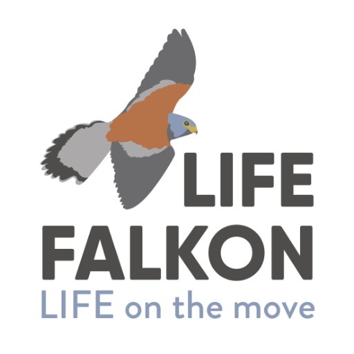 Official Twitter account of the LIFE FALKON project. Fostering the breeding rAnge expansion of central-eastern mediterranean Lesser Kestrel pOpulatioNs