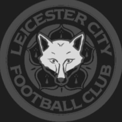 Just a random person in RI who loves the foxes ❤️🦊 Follow us if you're a Leicester City Fan! Contributor for @LeicesterVAVEL| @DiegoACante